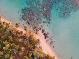 tropical beach on an island in Thailand