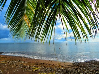exploring tropical island of tahiti