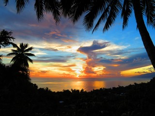 exploring tropical island of tahiti