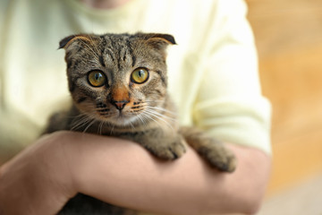 Woman holding homeless cat on blurred background. Concept of volunteering