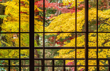窓から眺める秋の庭園