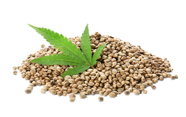Pile of hemp seeds and leaf on white background