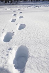 The texture of the snow. Winter rainfall. Tracks on a snowy road after a snowfall.
