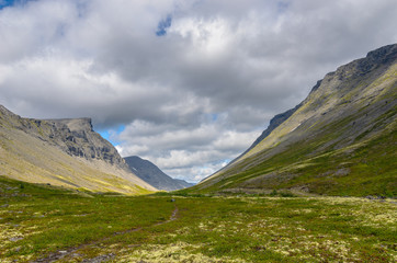 Fototapeta premium Mountain tundra with mosses and rocks covered with lichens, Hibiny mountains above the Arctic circle, Kola peninsula, Murmansk region, Russia