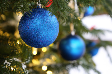Blue christmas balls hanging on fir branches on festive lights background in winter. New Year tree, christmas decorations, magic of the holiday