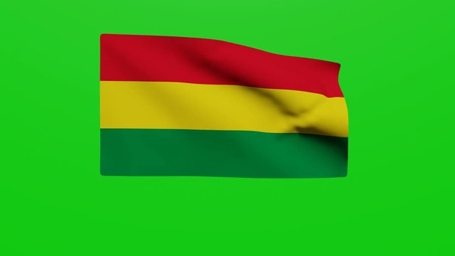 Bandera Bolivia. V&iacute;deo