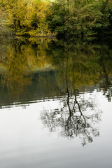 Autumn lake reflection
