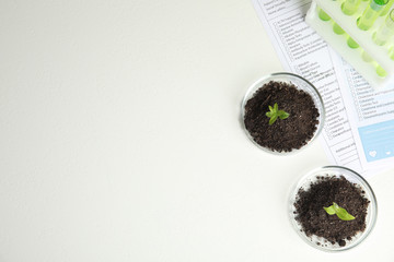 Petri dishes with soil and sprouted plants on white table, flat lay. Biological chemistry