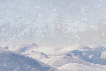 Fototapeta na wymiar Winter background, falling snow over winter landscape