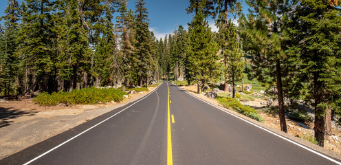 Beautiful road between the forest at Yosemite National Park California.
