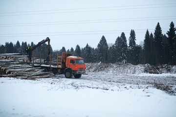 A lorry transports log in the back. Timber truck