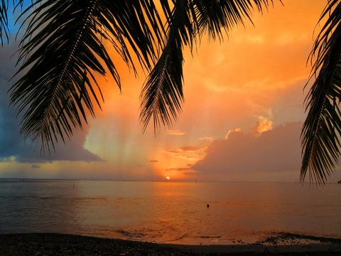 exploring tropical island paradise 