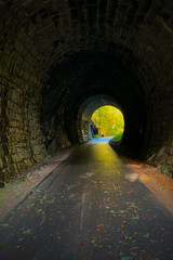 Historic disused railway tunnel in autumn