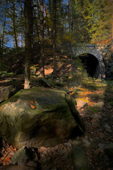 Historic disused railway tunnel in autumn