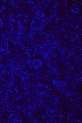 texture of artificial curly hair