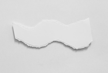 Fototapeta premium torn paper texture background, copy space.