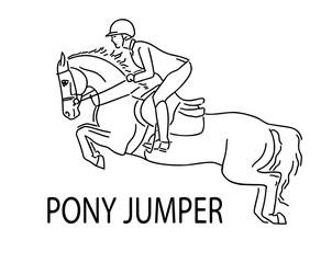 Young rider and pony jump, equestrian sport