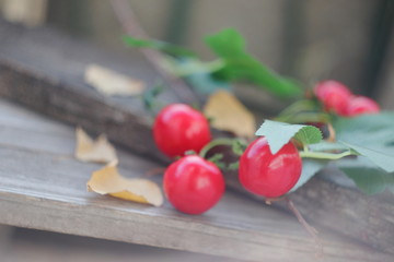 Bright colorful autumn mood. Autumn motives.