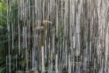 Amusement park. Attraction Tropical rain, water jets. Heavy rain of the tropical rain forest. Background