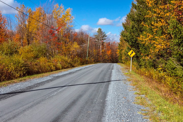 country road in autumn