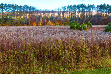 autumn in rural Canada 