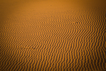 Arena del Sahara en detalle