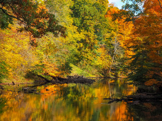 autumn reflections on the river