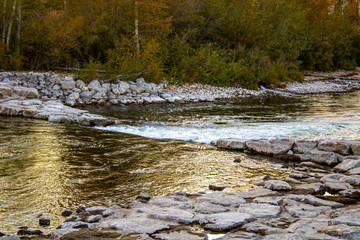 River with Gold and Black