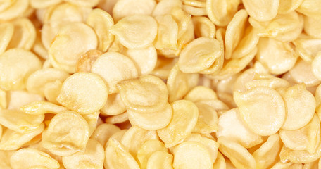 Paprika seeds as a background