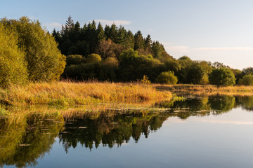Peaceful landscape with trees reflections in the still lake waters on a hazy and sunny autumn morning. Irish countryside scene. 