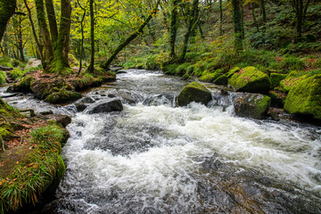 Golitha Falls, Cornwall in autumn