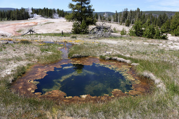 hot springs in yellowstone national park