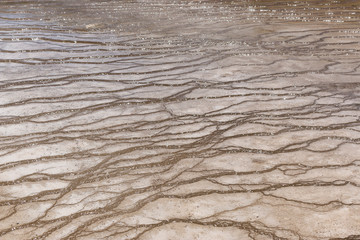 the edge of the grand prismatic spring