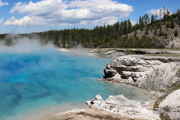 hot spring at yellowstone national part near forest