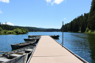 boats on lake in forest