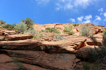 sandstone in desert