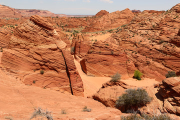 Desert with Sandstone mountains - Arizona