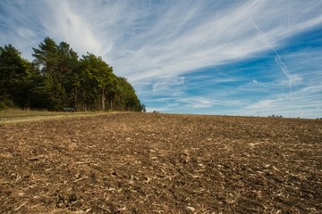 Geplfügtes Feld und Wald im Herbst