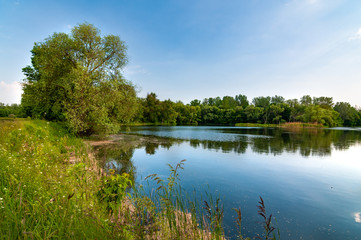 Fototapeta na wymiar Stunning beautiful view of the lake near forest