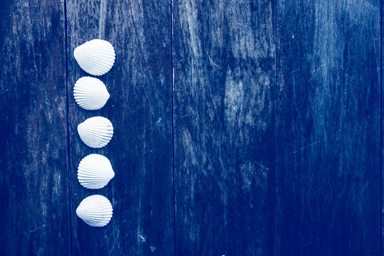 Sea shells on wooden background toned in blue color. Minimal concept. Flat lay, top view, copy space