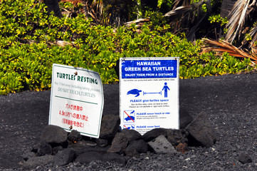 Tourist Warning About Turtles