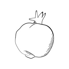 Hand drawn garnet. .sketch for print. isolated on white background.