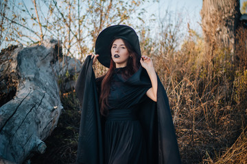 A young witch with pale skin and black lips, wearing a black hat, dress and cloak.  In autumn, against the background of a fallen tree, yellow, dried grass and blue sky.  halloween, magic, fantasy ima