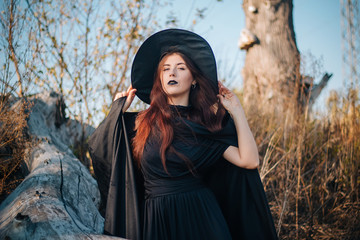 A young witch with pale skin and black lips, wearing a black hat, dress and cloak.  In autumn, against the background of a fallen tree, yellow, dried grass and blue sky.  halloween, magic, fantasy ima