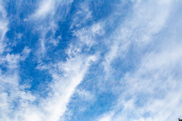 Looking from the park to the sky. Sky with clouds and blue.