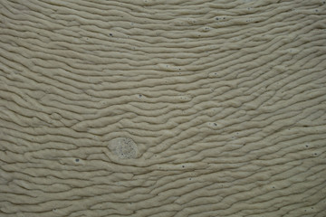 Schaum auf Gewässer Giftbrühe