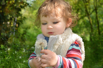 cute baby blowing on a dandelion