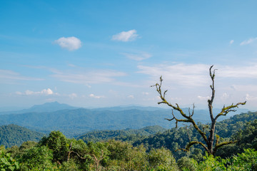 Obraz premium landscape view of green lush mountain range