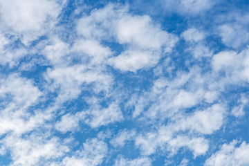 Obraz premium Looking from the park to the sky. Sky with clouds and blue.