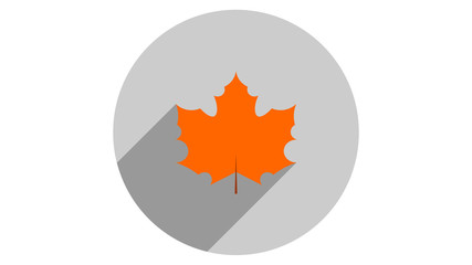 Maple leave icon vector design. Fall icons vector
